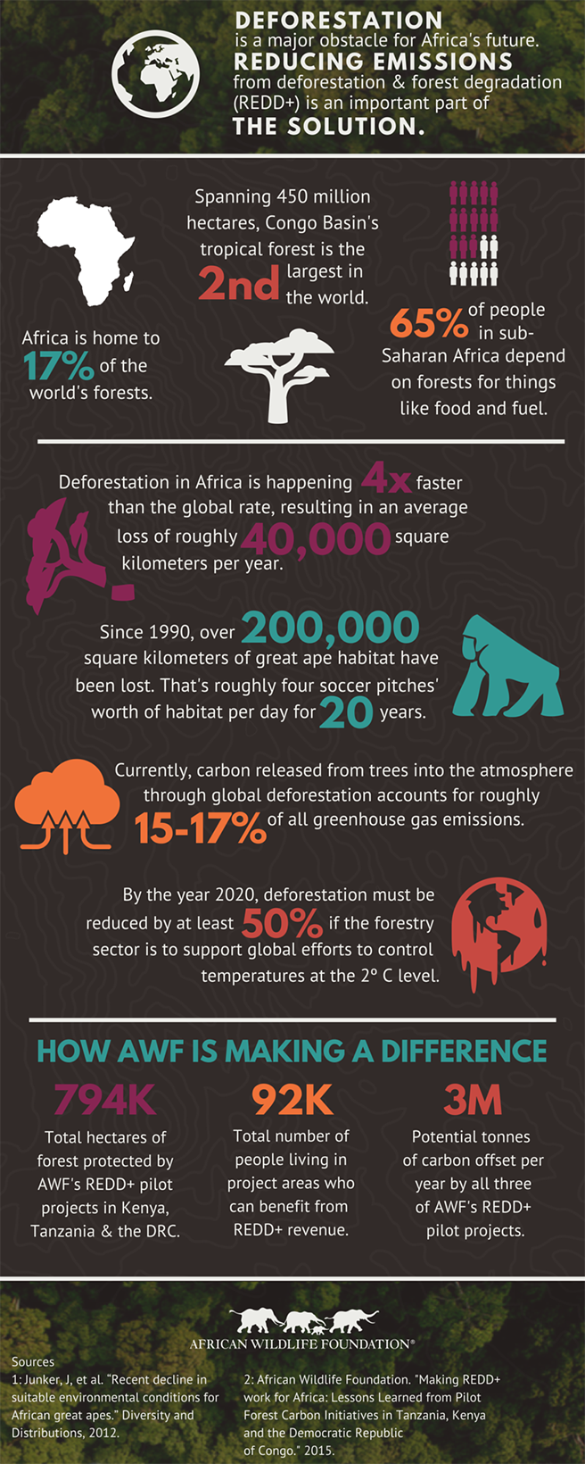 Get the Scoop on Deforestation in Africa African Wildlife Foundation